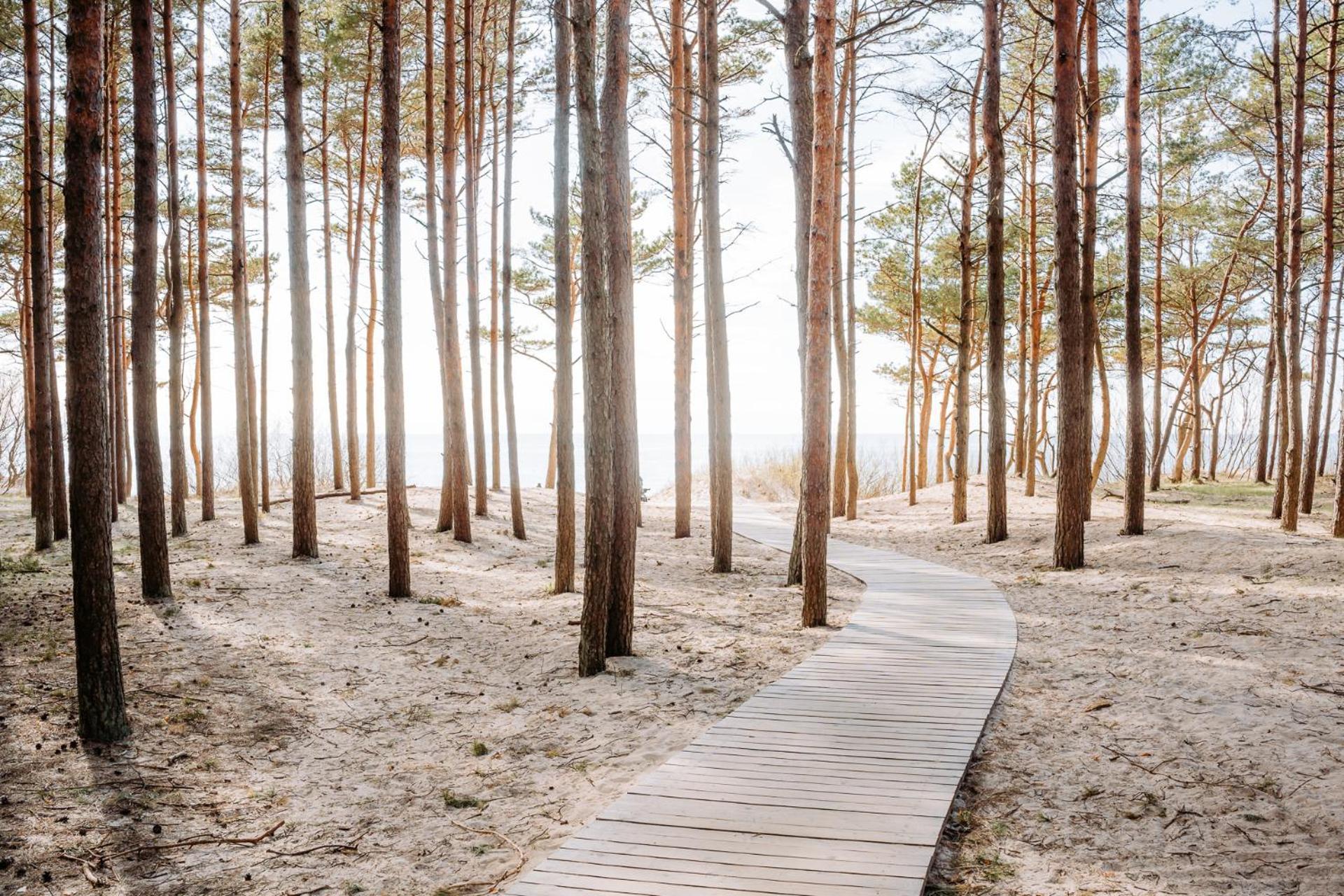 Hill Palanga & Spa Luaran gambar